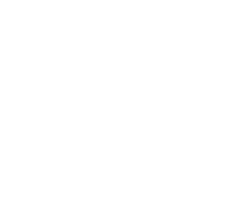 image of ants