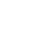 image of a cockroach