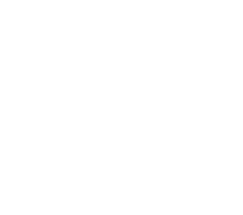 image of a spider