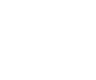 image of wasp