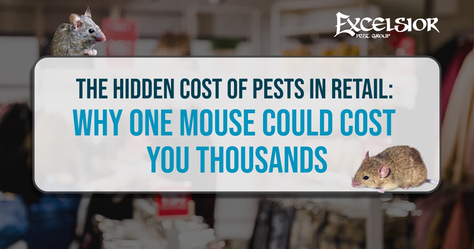 The hidden cost of pests in retail: why one mouse could cost you thousands