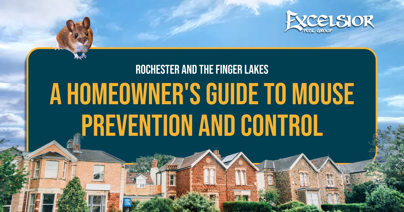A homeowner's guide to mouse prevention and control in Rochester and the Finger Lakes