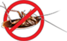 Graphic of a cockroach with a no-entry sign over it