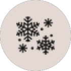 Icon of winter and snowflakes