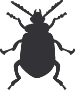 Icon of a bug for this season