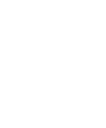 image of a bug
