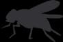 Icon of a bug for this season