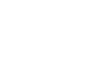 image of wasp