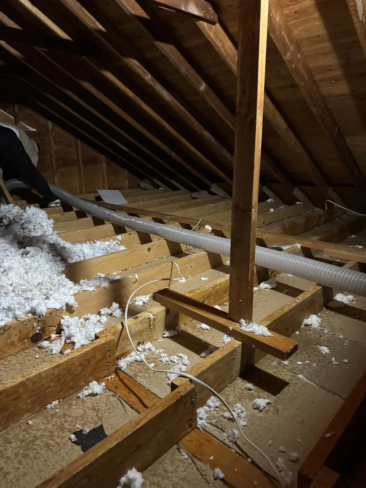 Bare attic joists after the old insulation was vacuumed out