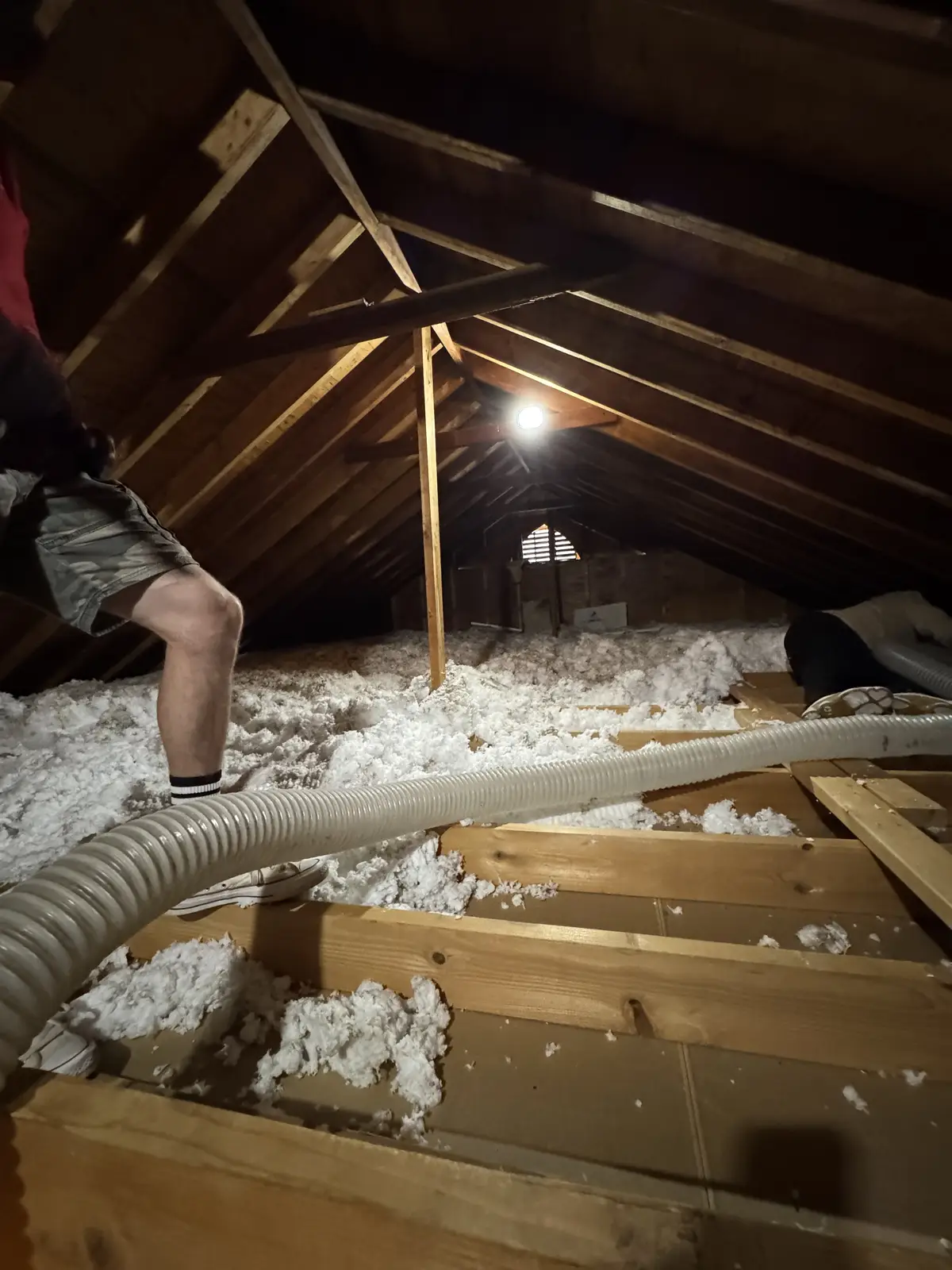 A technician on the attic joists beside the hose that vacuums out old insulation