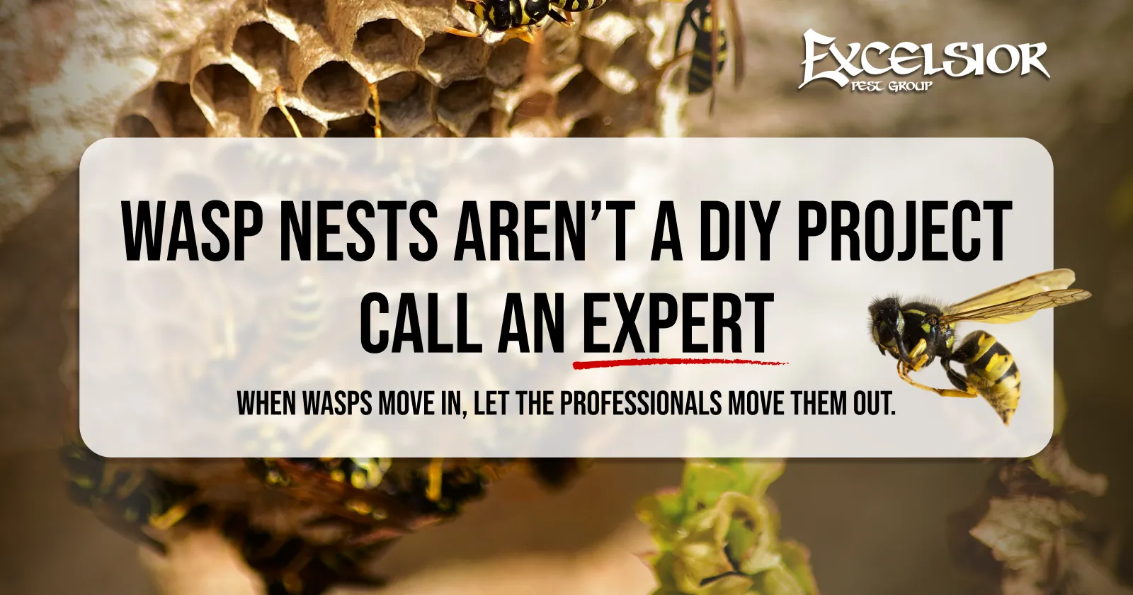 Wasp nests aren't a DIY project. Call an expert. When wasps move in, let the professionals move them out.